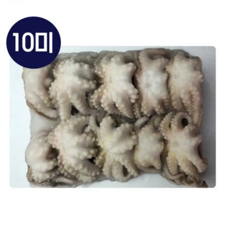 냉동 손질쭈꾸미 2.16kg 10미 이미지