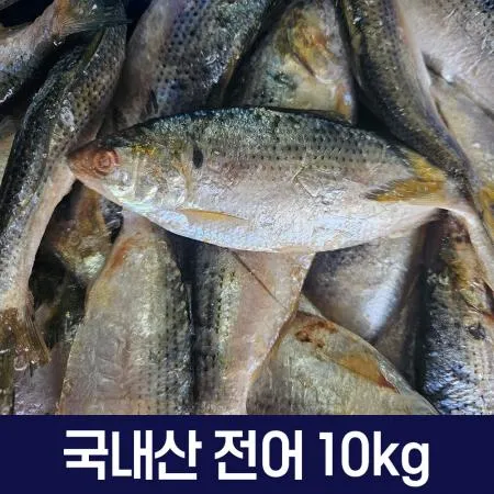 국내산 냉동 전어 10kg 급냉 활전어 구이 찌개용