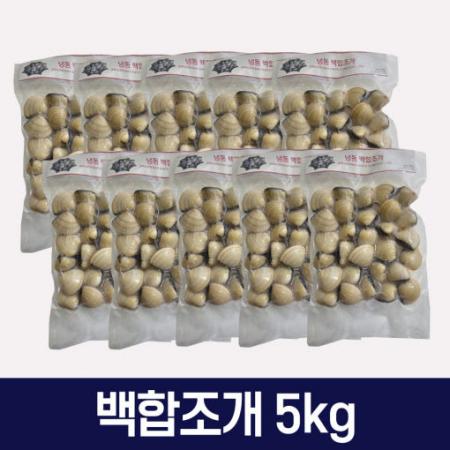 백합조개 5kg 베트남 식당 업소용