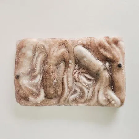 냉동 활낙지 1팩 850g 4미