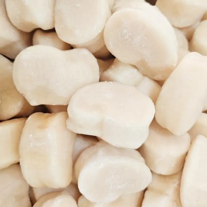 국내 최저가 판매! 냉동 키조개 관자 10kg 11/15 가이바시 키조개살 개아지살 삼합 버터구이 이미지