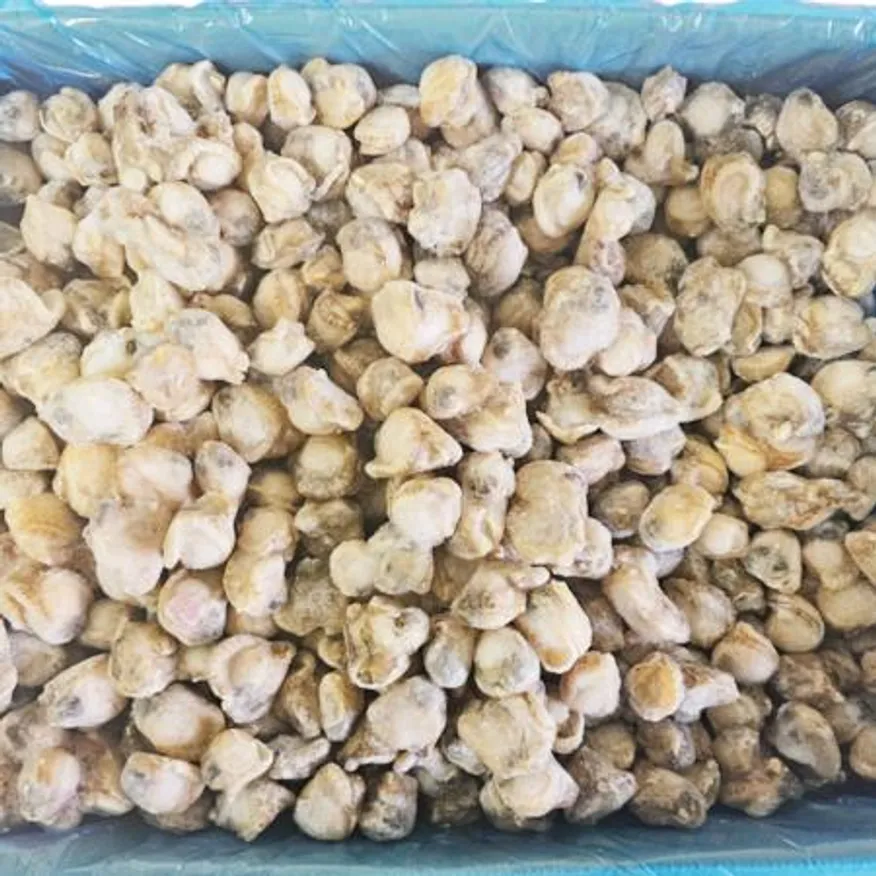 10kg벌크상품/1박스로 출고) 자숙 가리비살 10kg 이미지