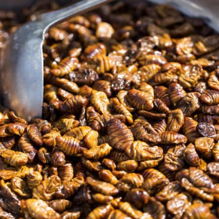 번데기 4kg 간식 술안주 번데기탕