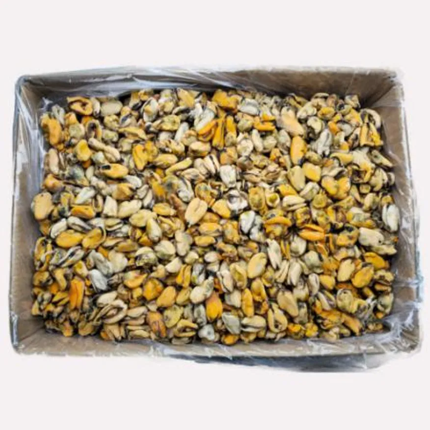 냉동 자숙 홍합살 10kg 중국 이미지