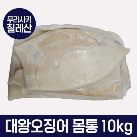 대왕 오징어 몸통 10kg 칠레산 무라사키 몸살
