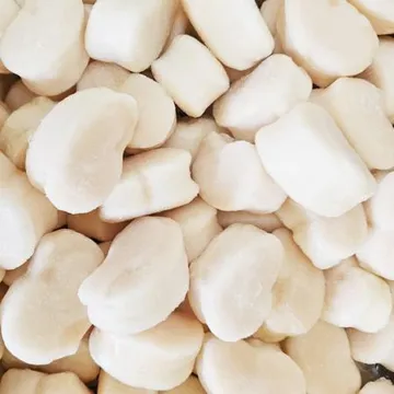 국내 최저가 판매! 냉동 키조개 관자 1kg 16/20 가이바시 키조개살