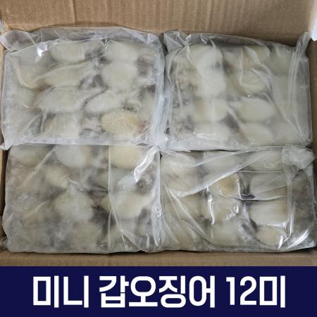 갑오징어 베이비이까 미니갑오징어 2.16kg 12미 40/60