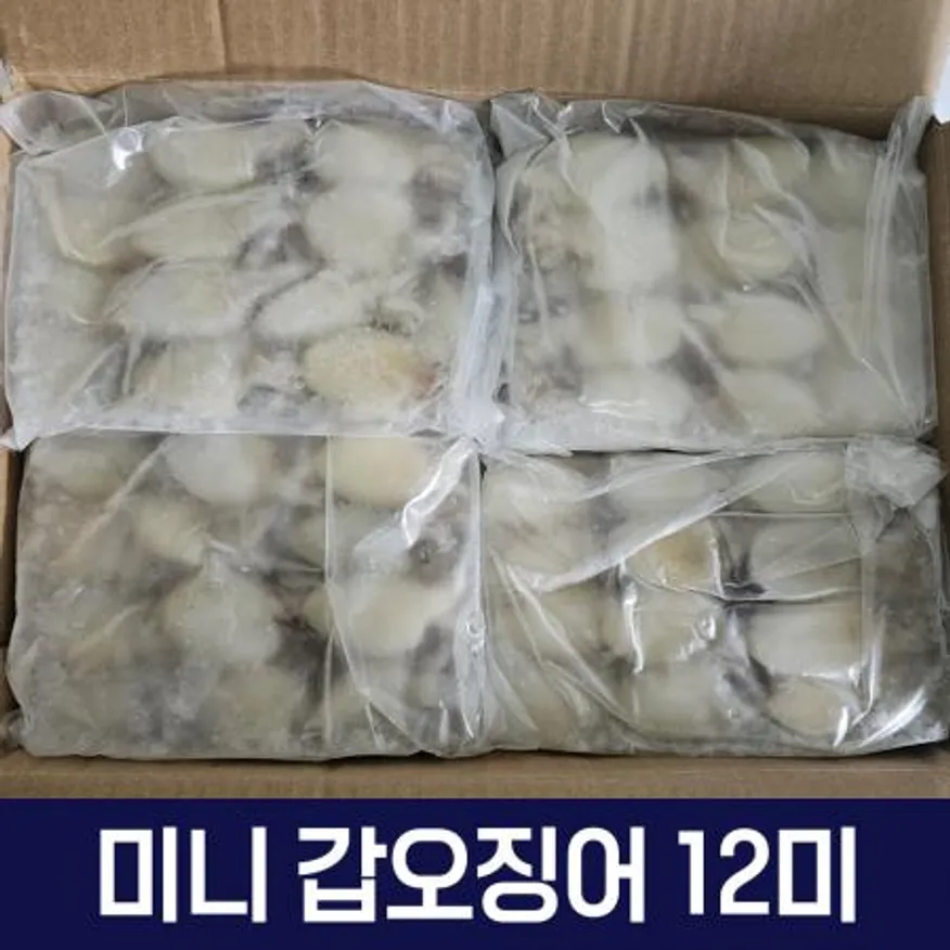 갑오징어 베이비이까 미니갑오징어 2.16kg 12미 40/60 이미지