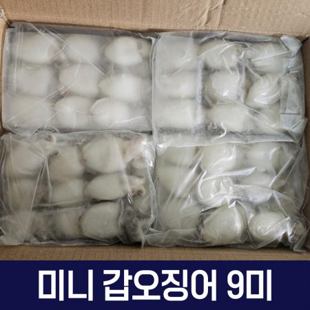 갑오징어 베이비이까 미니갑오징어 2.16kg 9미 20/40 이미지