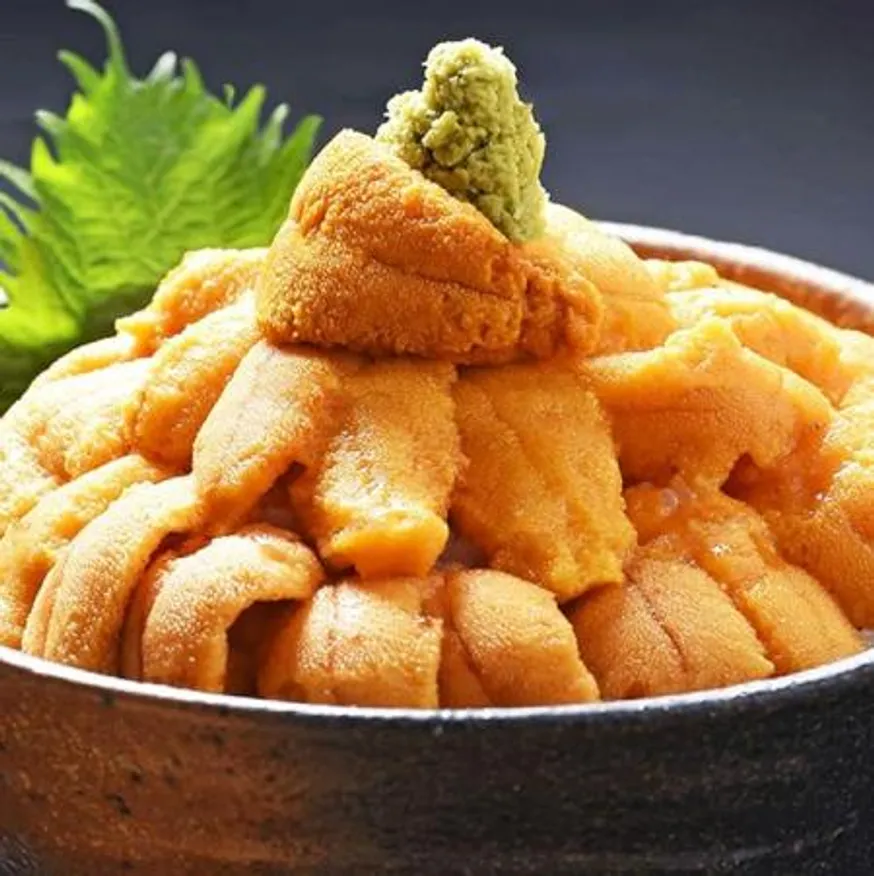 B급 냉동 칠레 성게알 우니 100g 한판 홈마카세 이미지