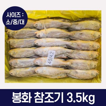 봉화 참조기 3.5kg 대 40미~42미