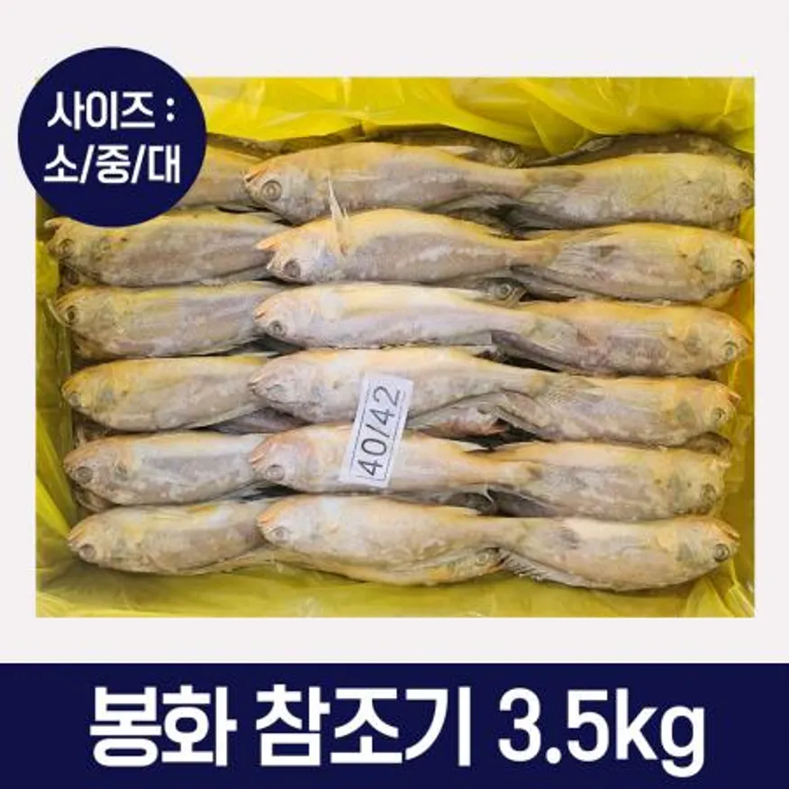 봉화 참조기 3.5kg 대 40미~42미 이미지