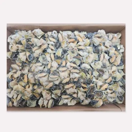 A급 참소라10kg L 피뿔고동살 소라살 업소용 도매용 벌크 이미지