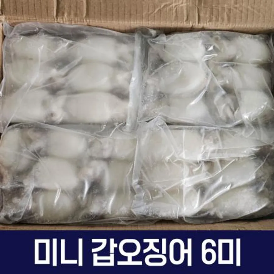 갑오징어 베이비이까 미니갑오징어 2.16kg 6미 10/20 이미지