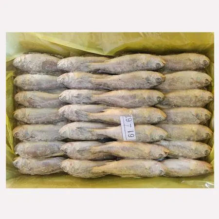 ★한정판매★봉화 참조기 2.5kg 50미(60미사이즈)
