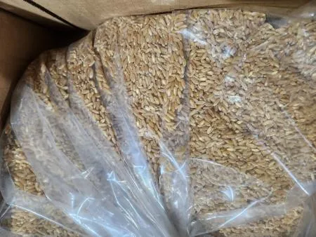 [대용량 추천] 특A급 호라산밀 쌀 10Kg 벌크 정품 고대 곡물 골드 호라산 햇 통곡물 이미지