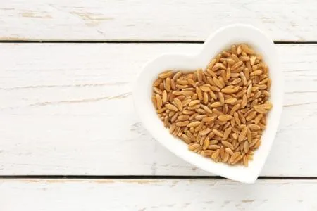 [대용량 추천] 특A급 호라산밀 쌀 10Kg 벌크 정품 고대 곡물 골드 호라산 햇 통곡물 이미지