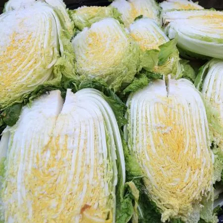 국산 신안 천일염 20kg 굵은소금 김장소금 이미지