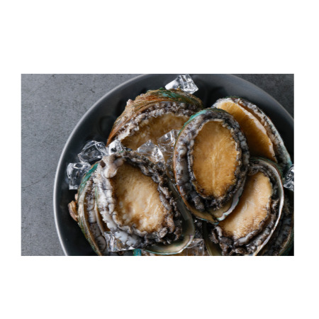 노화도 완도 활전복 10~12미 1kg