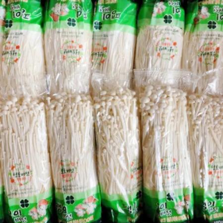 팽이 버섯 5kg (국내산)BOX 팽이버섯