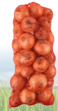 양파,수입산,15kg,망.AP 이미지
