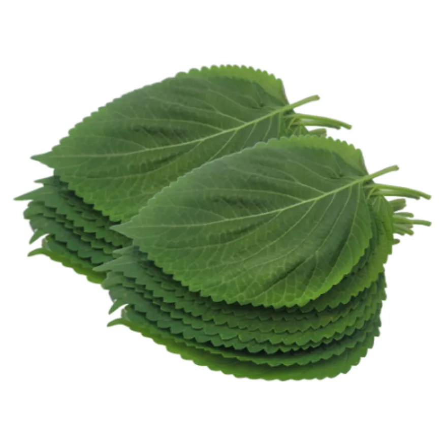 깻잎 1속_10장 (국내산) 이미지