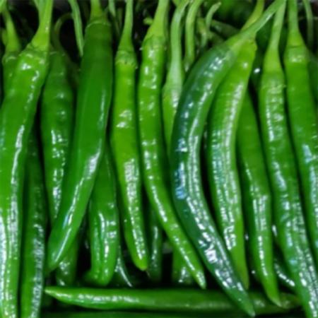 청양고추 1kg (상,국내산)