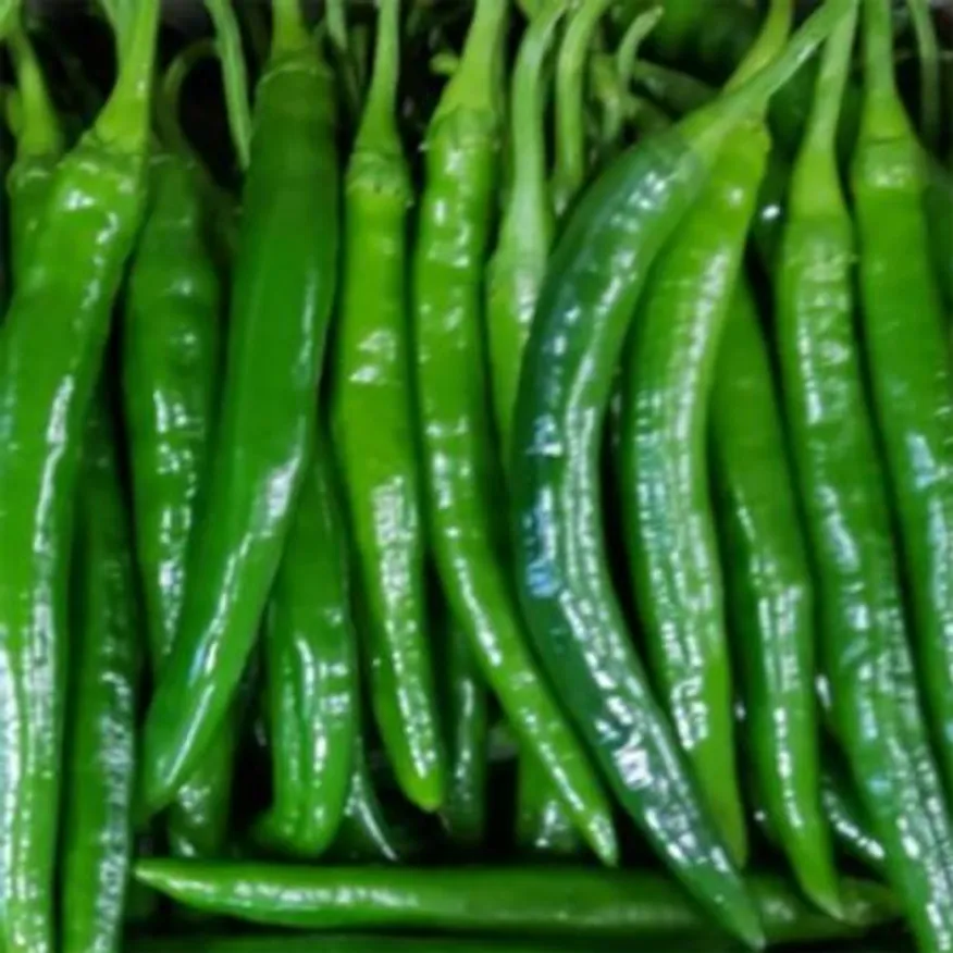 청양고추 1kg (상,국내산) 이미지