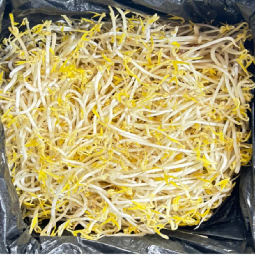 숙주나물 3.5kg (±200g) 이미지