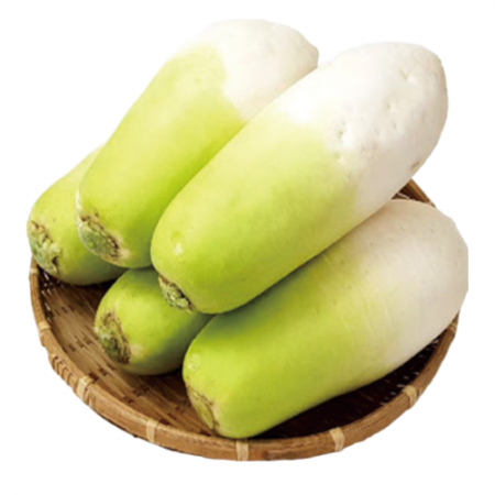 제주 세척무 15kg 이상 13~17수 1BOX 국내산 무우