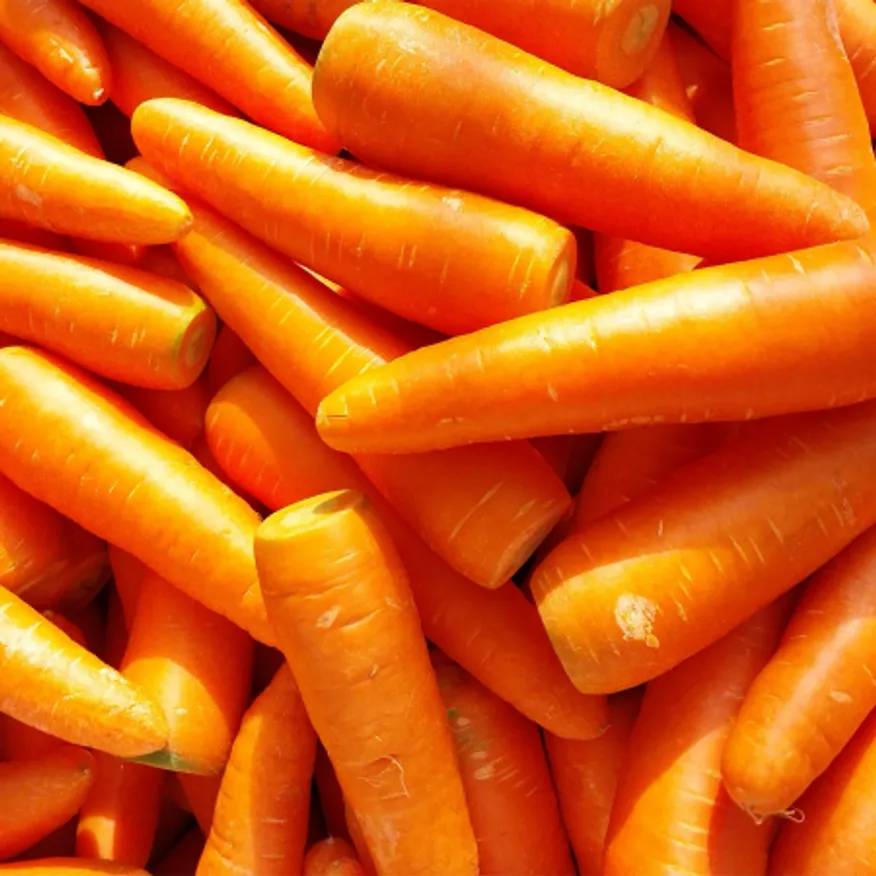 세척 당근 10kg 2-3L (수입산) 이미지