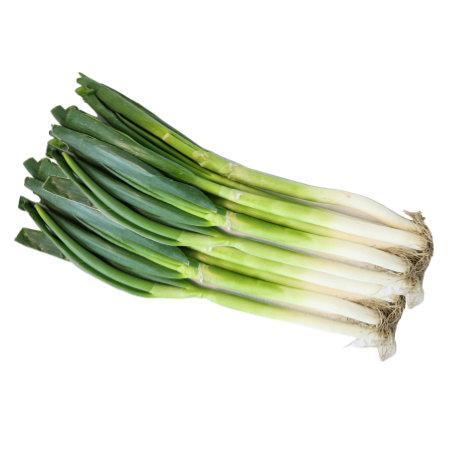 ★첫구매★ 흙 대파 1단 (국내산) 흙대파