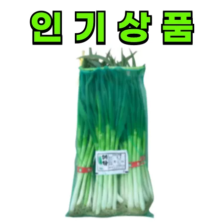 ★초특가★대파10단/1묶음 이미지