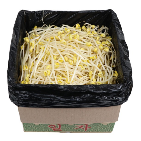 일자 콩나물 3.5kg (±200g)