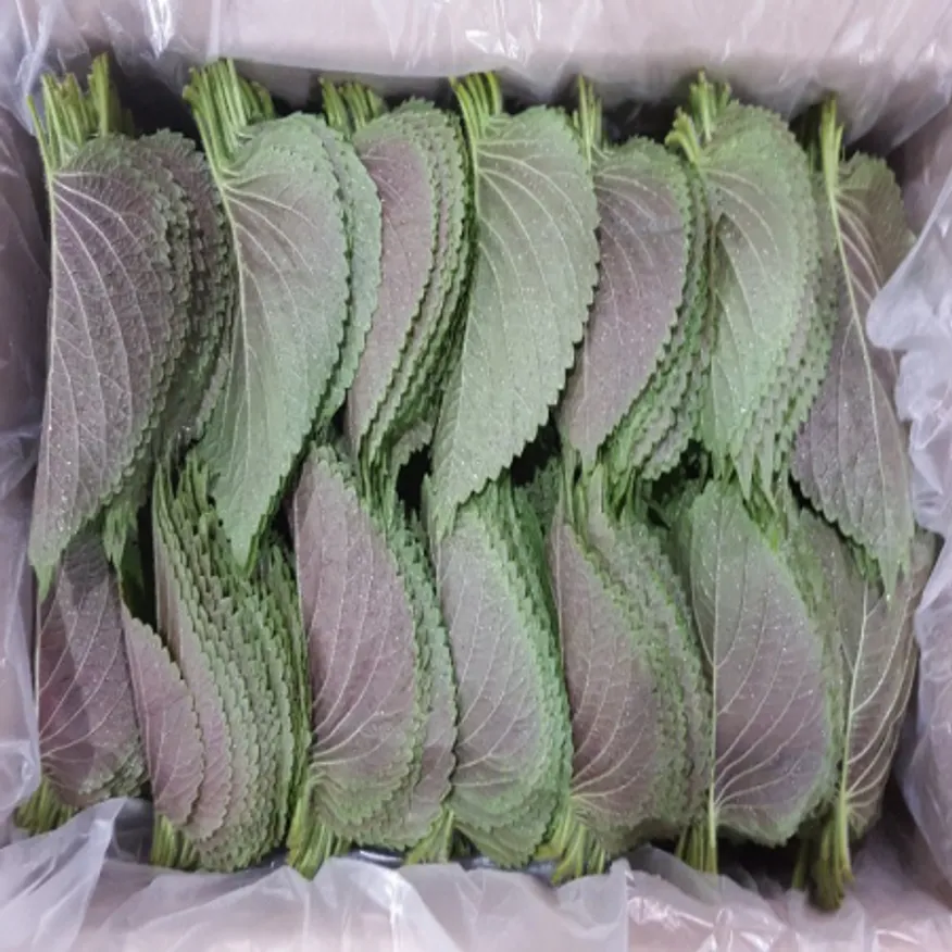 깻잎 2kg (찹찹이,국내산)BOX 이미지