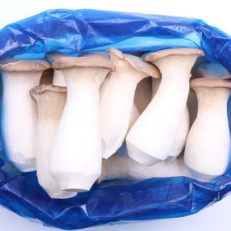 새송이버섯 2kg (총알,소,국내산)BOX