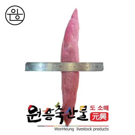 [직배송] [원흥축산] 국내산 한돈 스페셜 안심 2.5kg 이미지