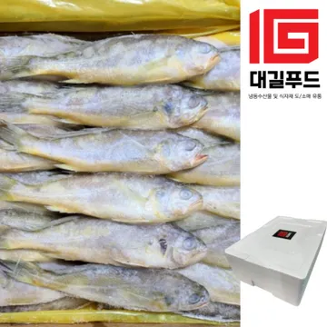 냉동 참조기 3.5kg 50/52마리, 2박스