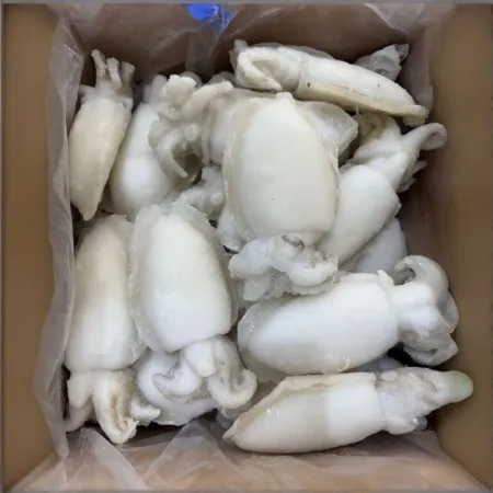 냉동 갑오징어 100/200 5kg 손질오징어 홀크린