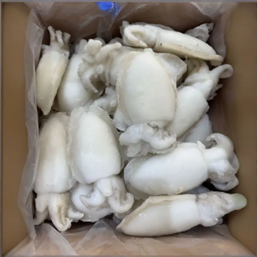 냉동 갑오징어 100/200 5kg 손질오징어 홀크린 이미지