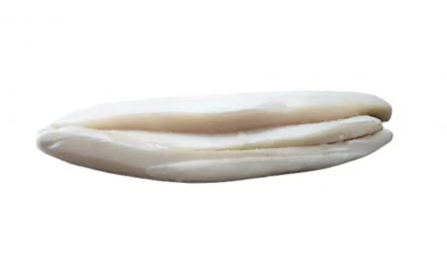 대왕오징어 몸통 10kg 무라사키 몸살 업소용 이미지