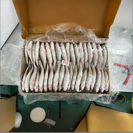수입산 민어조기 10kg 60미내외 이미지