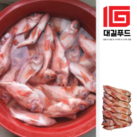 냉동 뽈락 적어 8.7kg 빨간고기 열기 장문볼락 30-36마리내외(AA급)