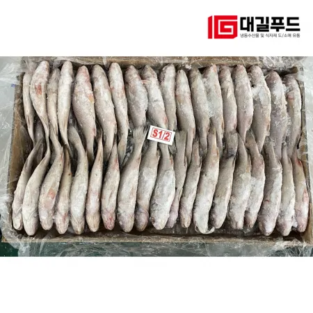 수입산 민어조기 10kg 40미내외