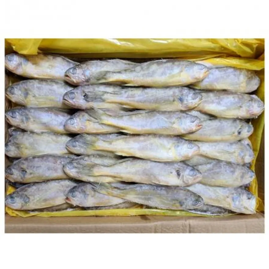 냉동 참조기 3.5kg (50-52마리) 냉동조기 조기구이 이미지