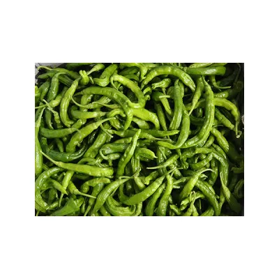 꽈리고추(국내산) 4kg