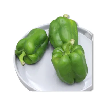 청피망(국내산) 1kg