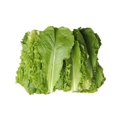 로메인(국내산) 2kg/박스