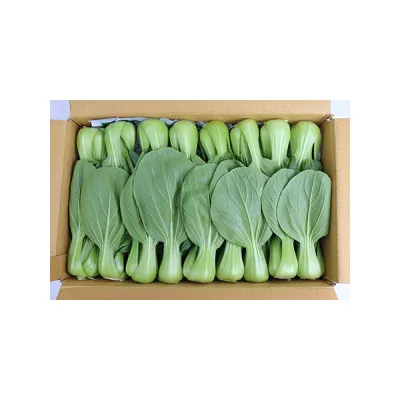 청경채(국내산) 4kg