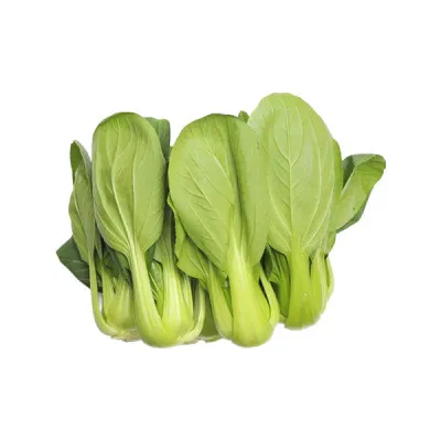 청경채(국내산) 1kg